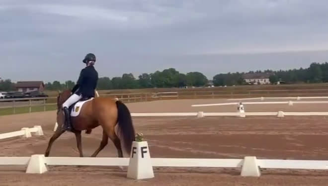 Dressyr hästar till salu: Topponny oavsett disciplin i Åhus - Video 3
