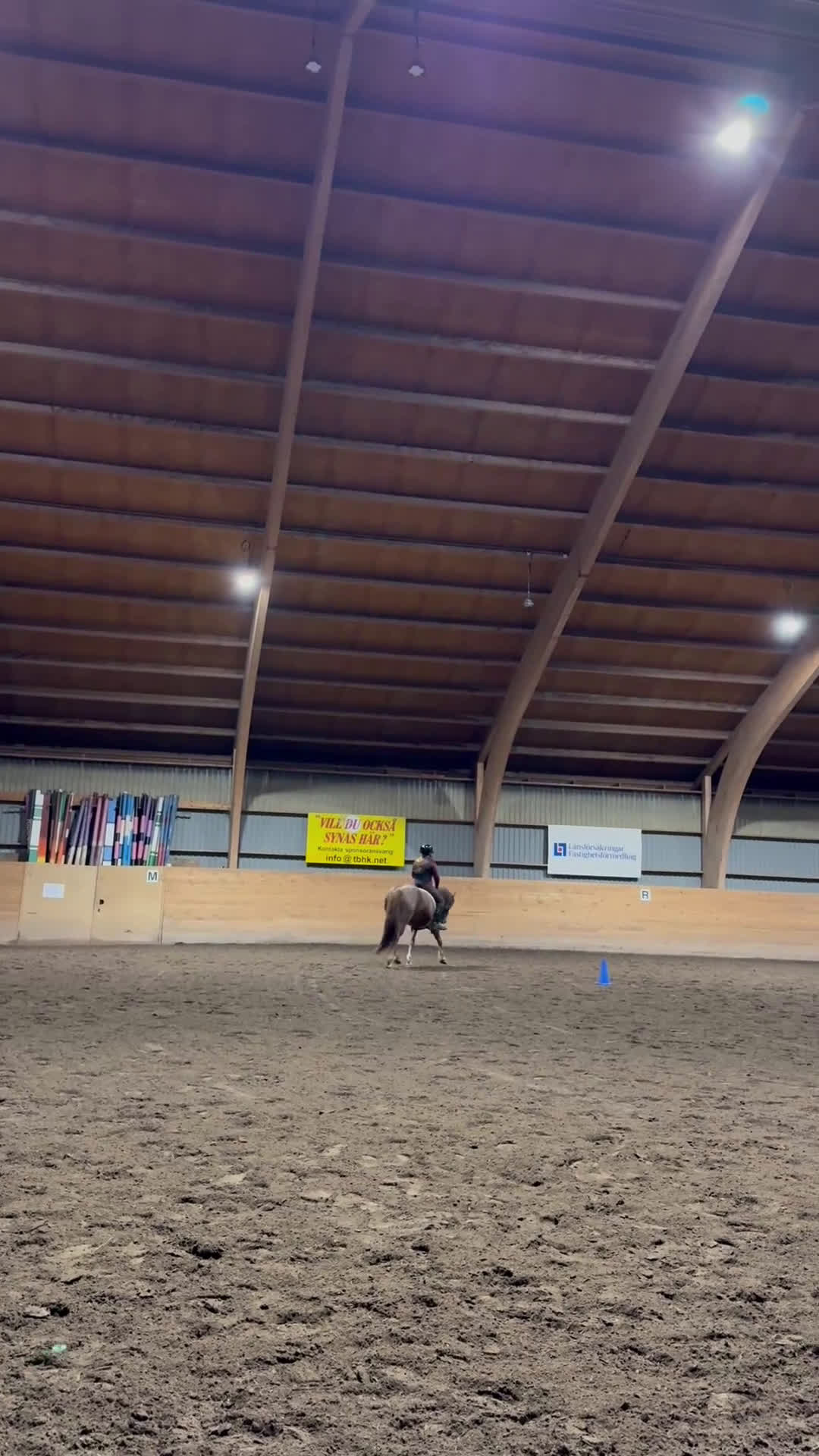 Allround hästar till salu: Ljuvligt fux-sto - en riktig prinsessa! D-ponny i Tidaholm - Video 5