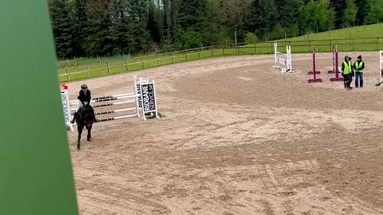 Hoppning hästar till salu: Välridet och elastiskt sto med placeringar i 1.20 - Video 1