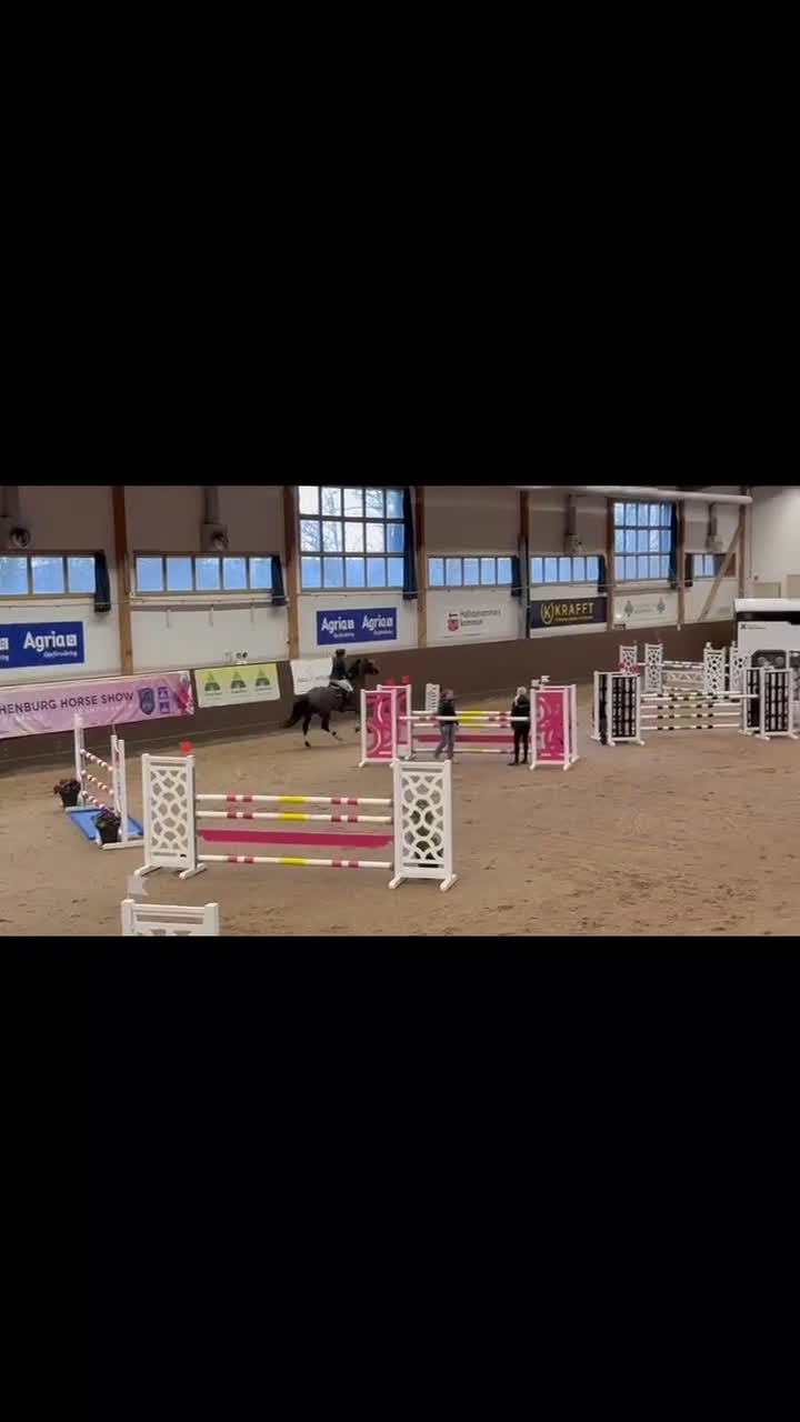 Hoppning hästar till salu: Sto med utstrålning  - Video 1