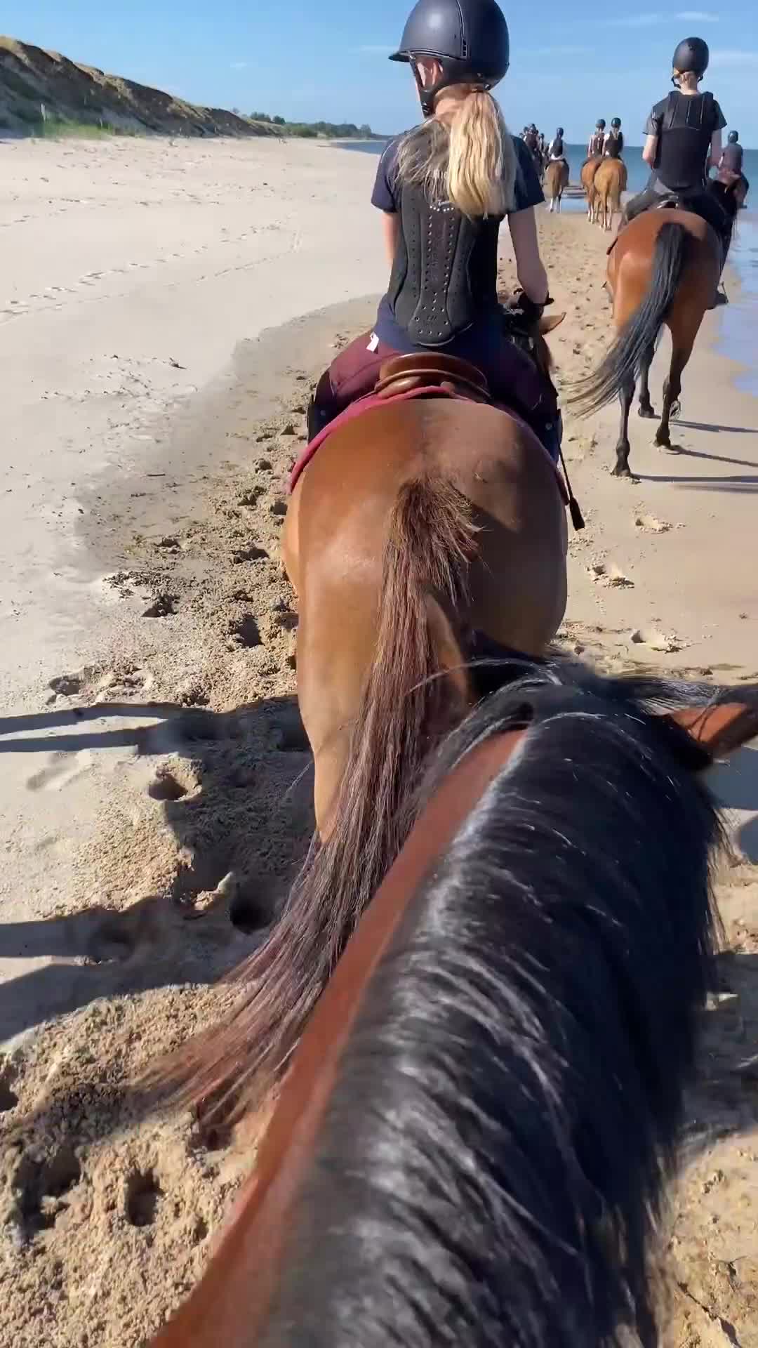Allround hästar till salu: Positiv D-ponny!  i Simrishamn - Video 5
