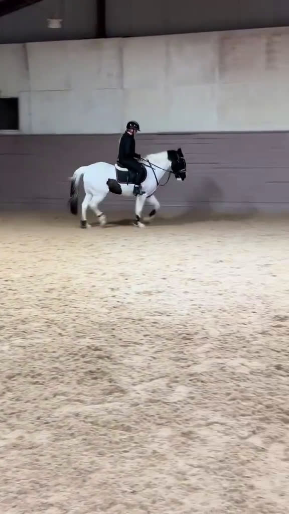 Allround hästar till salu: Din egen prinsessa ❤️ - Video 1