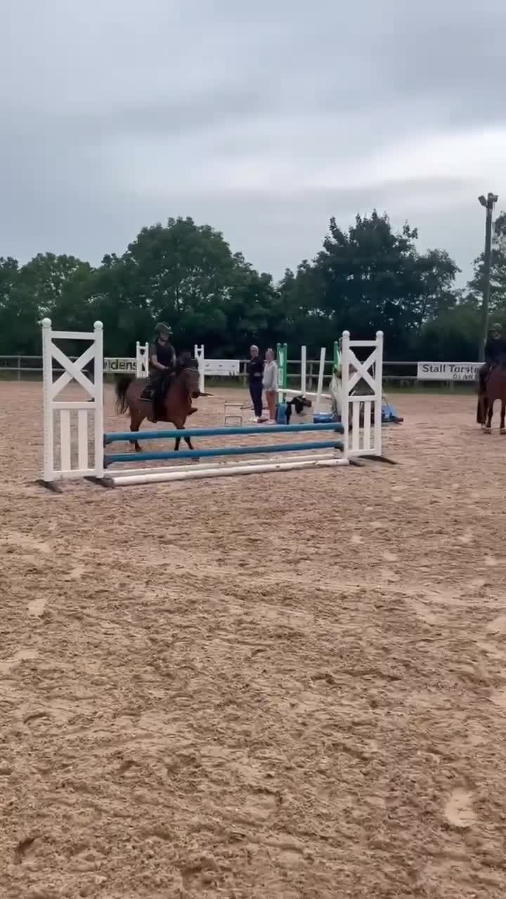 Allround hästar till salu: Underbar familje b-ponny! - Video 2