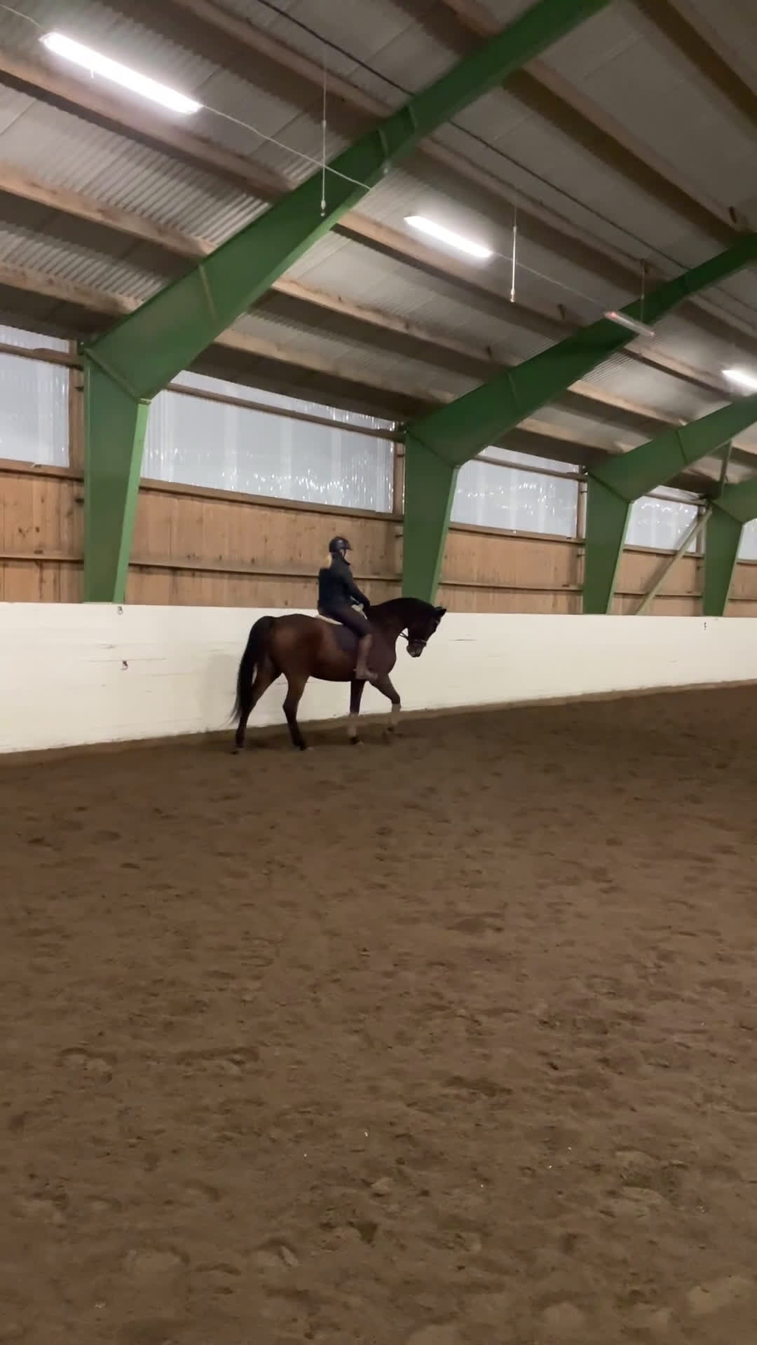 Dressyr hästar till salu: Trevlig dressyrvalack! - Video 2