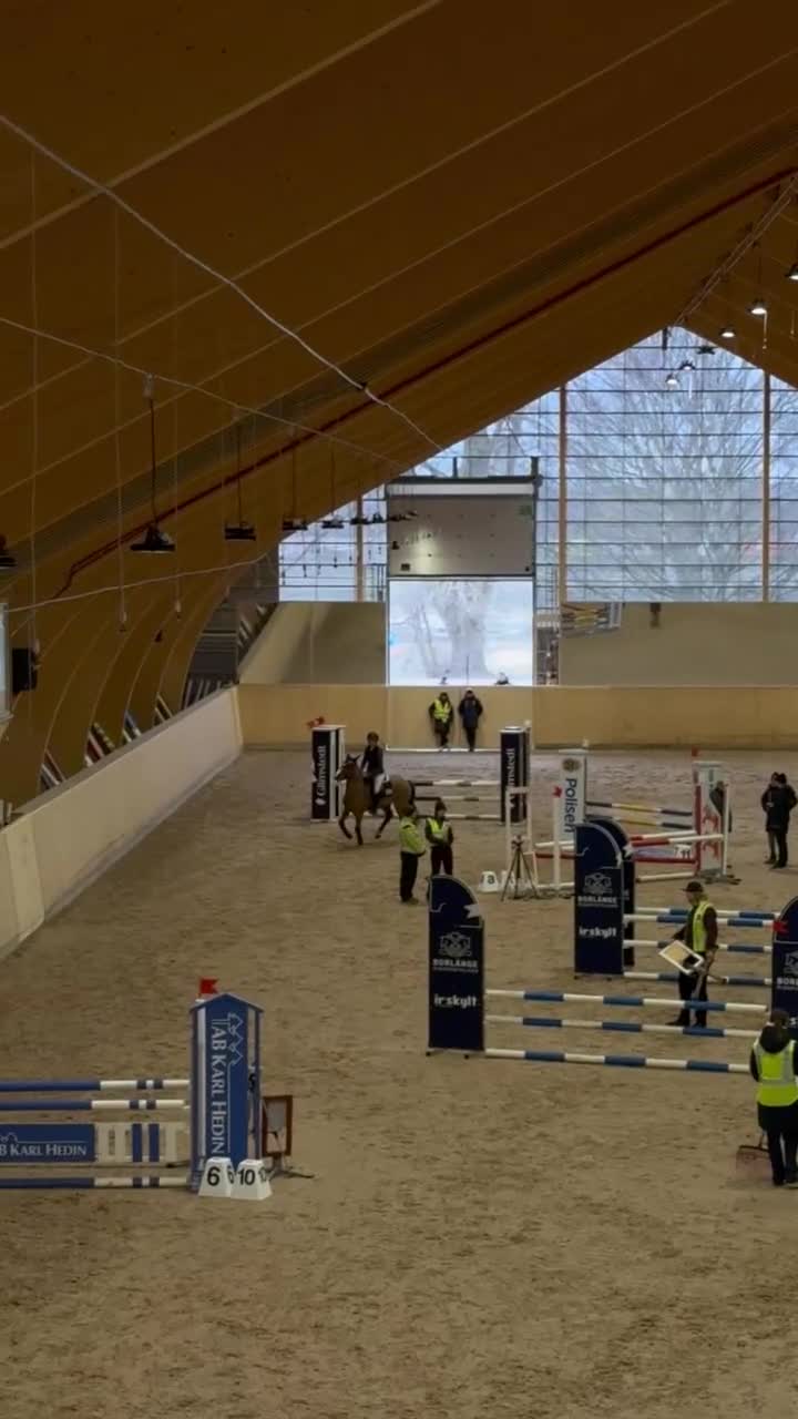 Allround hästar till salu: Världens snällaste allround ponnyn - Video 2