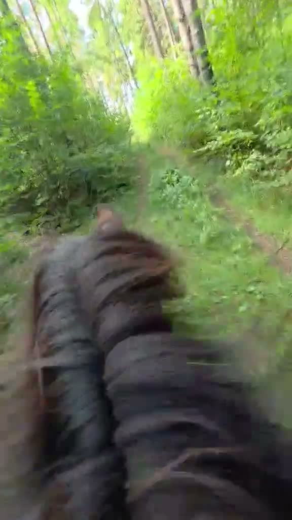 Island hästar till salu: Vackert supertrevligt lovande sto! Ev byte - Video 4