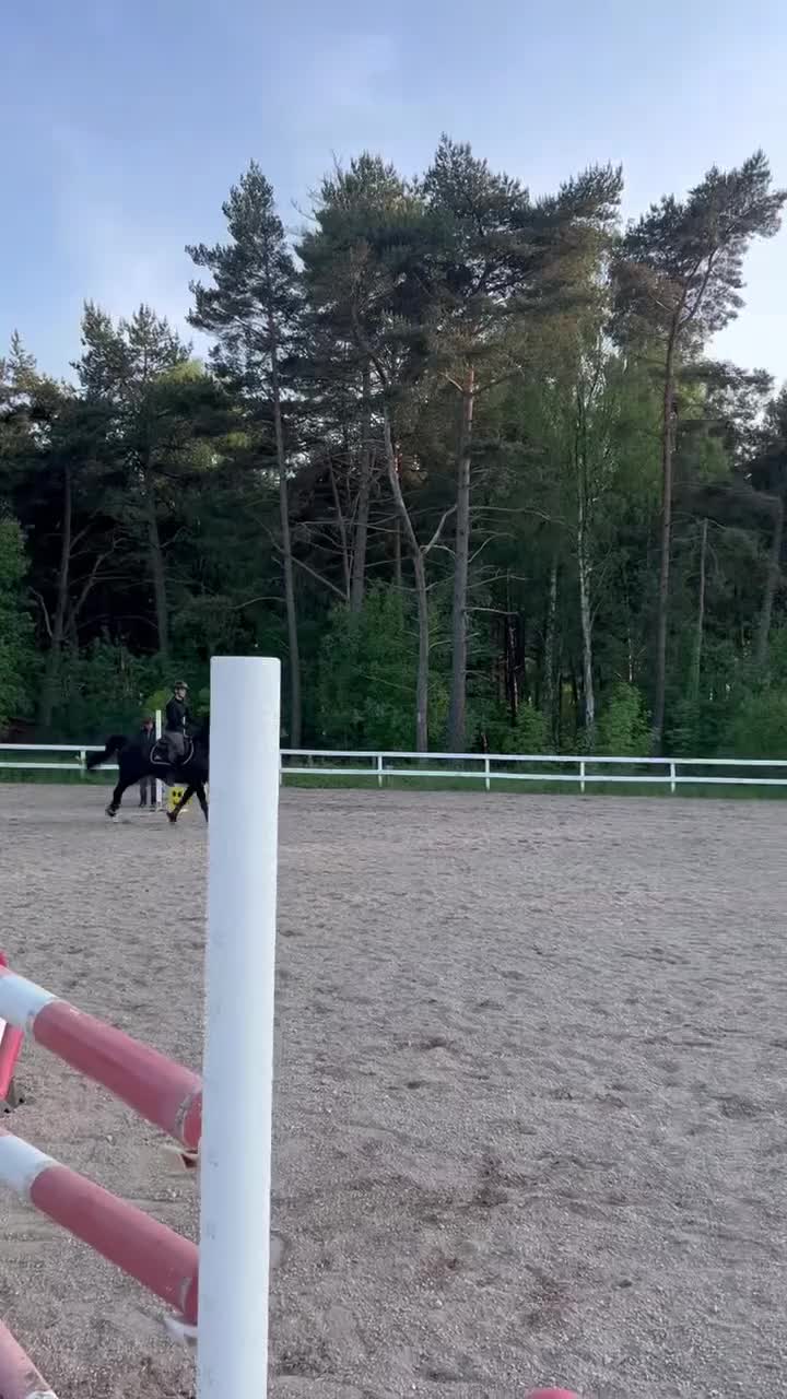 Hoppning hästar till salu: Vältränad d-ponny! i Stånga - Video 1
