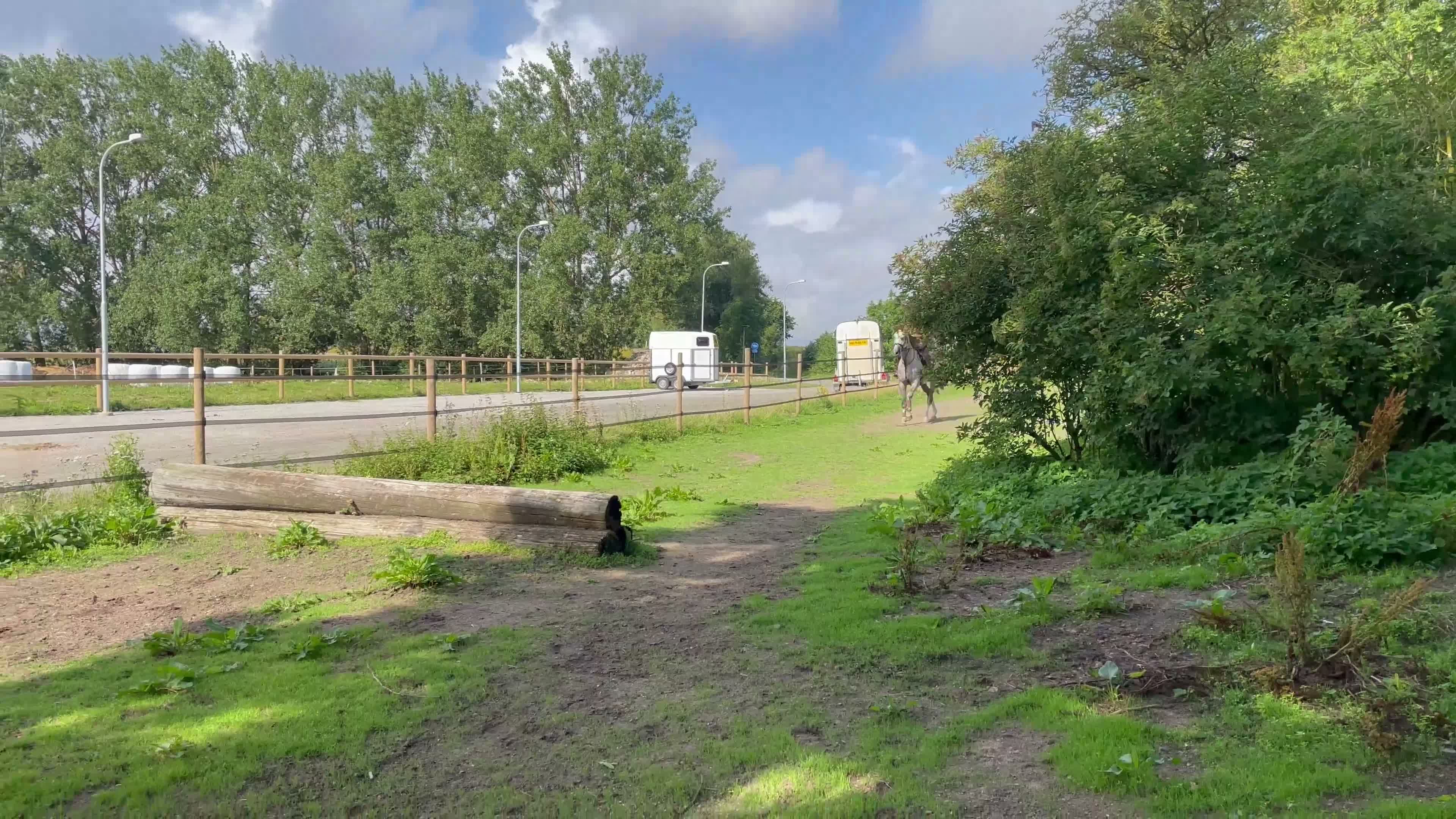 Allround hästar till salu: Snäll kille söker bra hem i Klågerup - Video 3