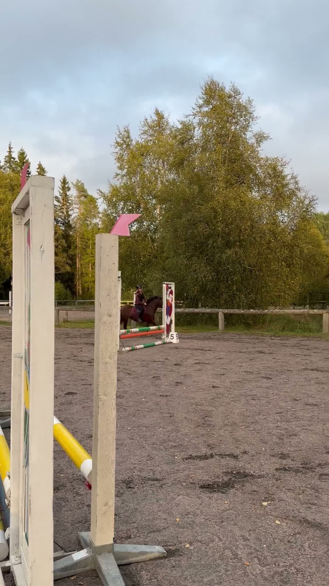 Allround hästar till salu: Fantastisk ponny för stora klasserna  - Video 1