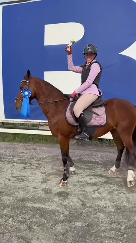 Allround hästar till salu: 🩷Elegant C-ponny - It Aint Easy🩷 - Video 1