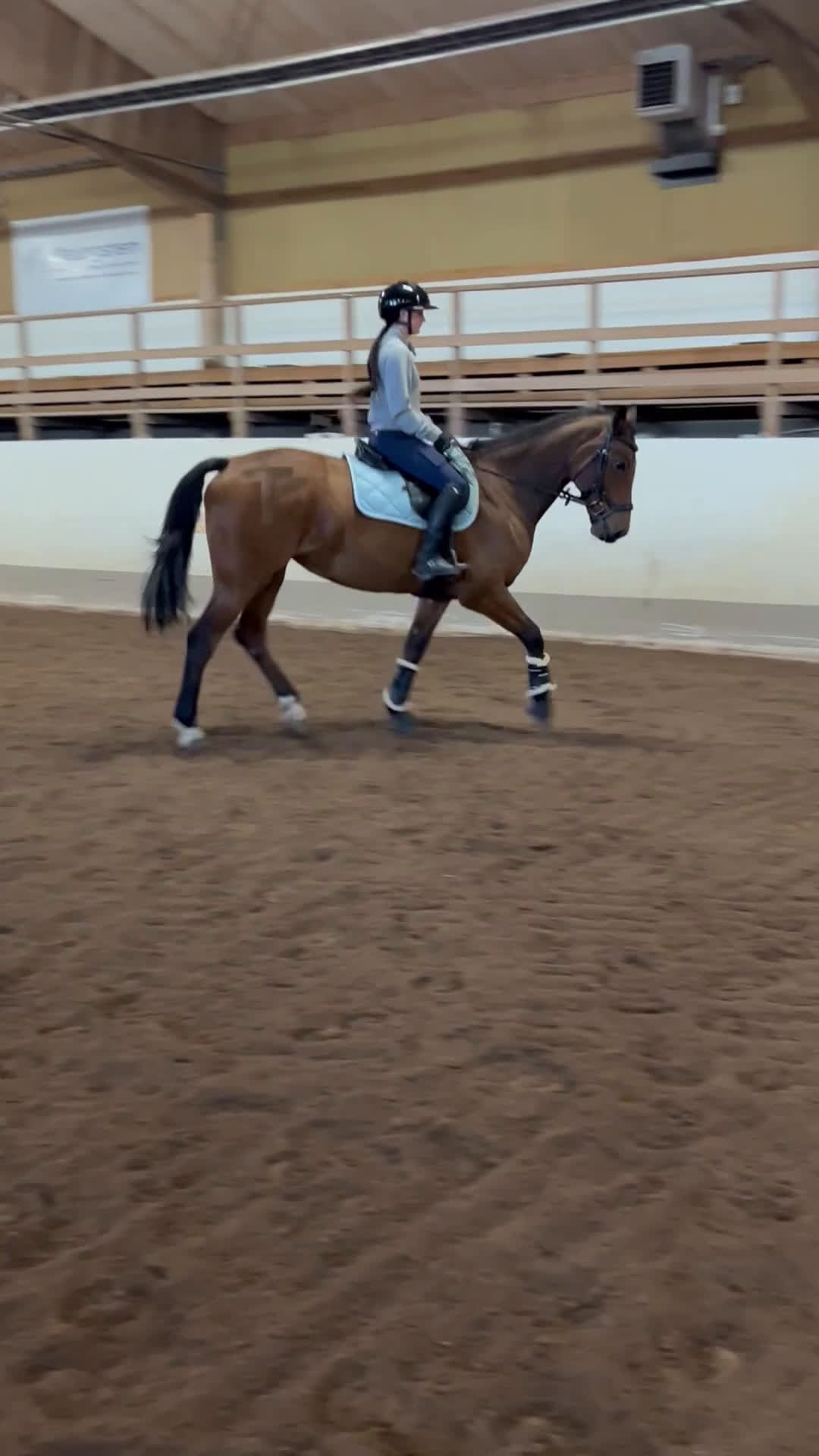 Hoppning hästar till salu: Snäll hopphäst i Malung - Video 2