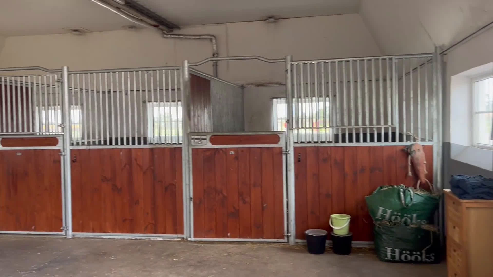  foderhäst sökes: Foderhäst sökes till lugnt stall! i Åstorp - Video 1