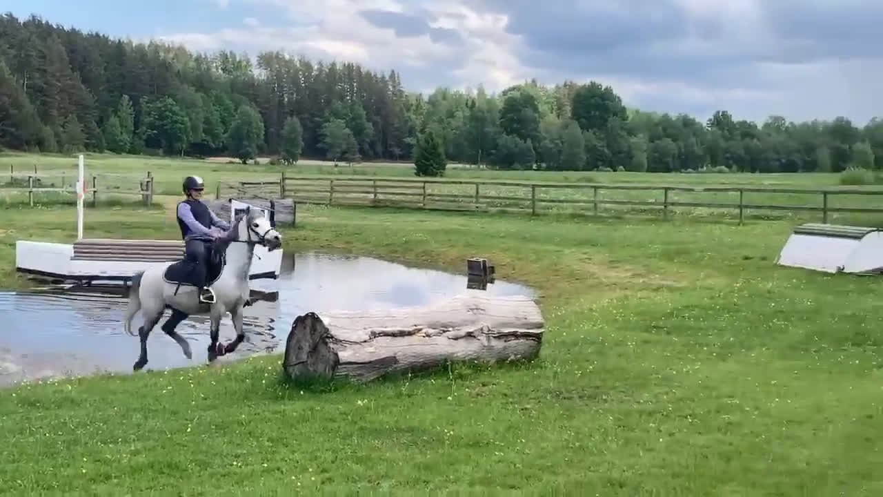 Allround hästar till salu: B- ponny säljes!  i Falköping - Video 2