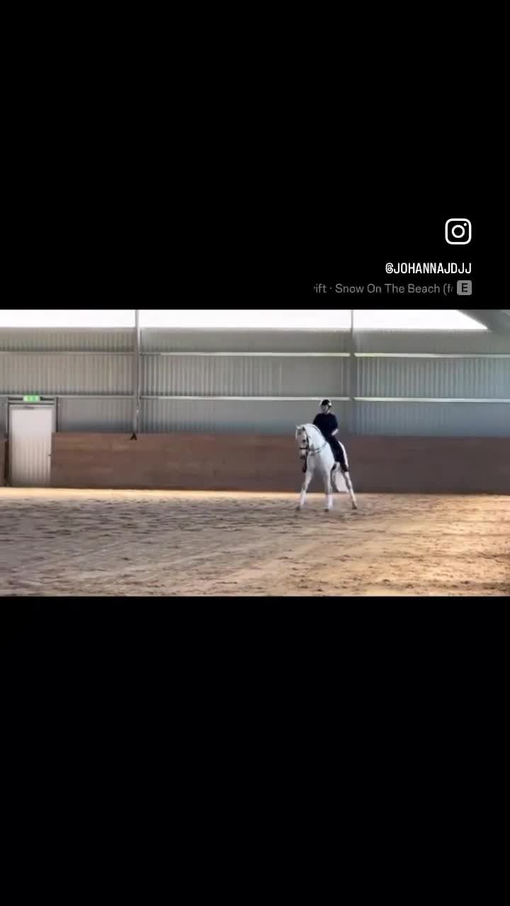 Dressyr hästar till salu: Uttrycksfull och mycket vacker lusitano - Video 2