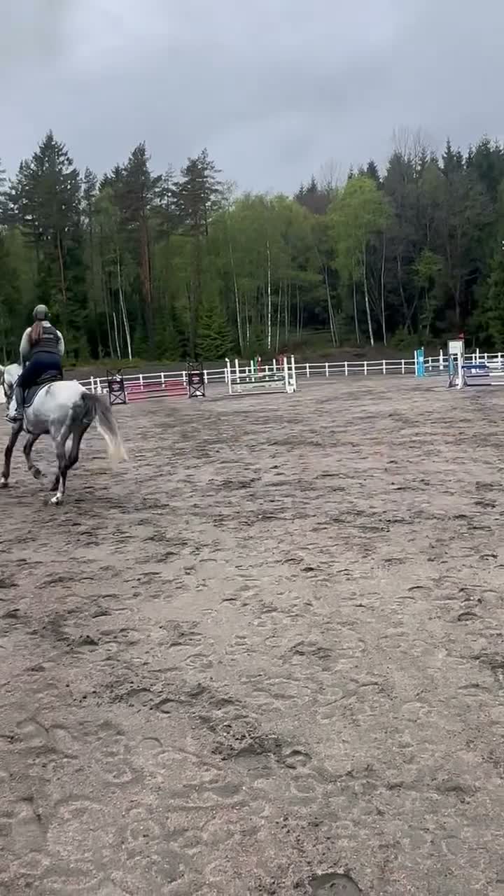 Hoppning hästar till salu: Lyxig hobbyhäst/Perfekt mor/dotter häst - Video 1