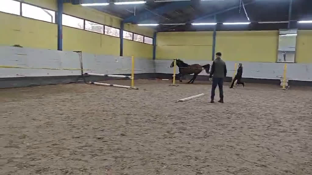 Allround hästar till salu: Uttrycksfullt Sto  i Dösjebro - Video 2