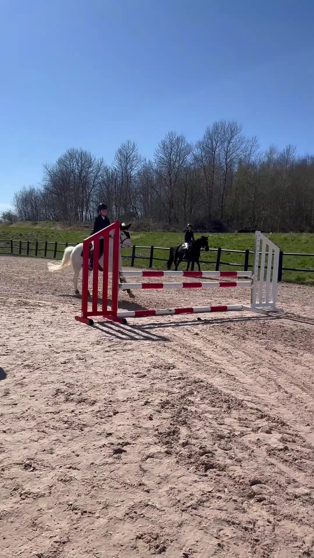 Allround hästar till salu: C-ponny ⭐️ - Video 1