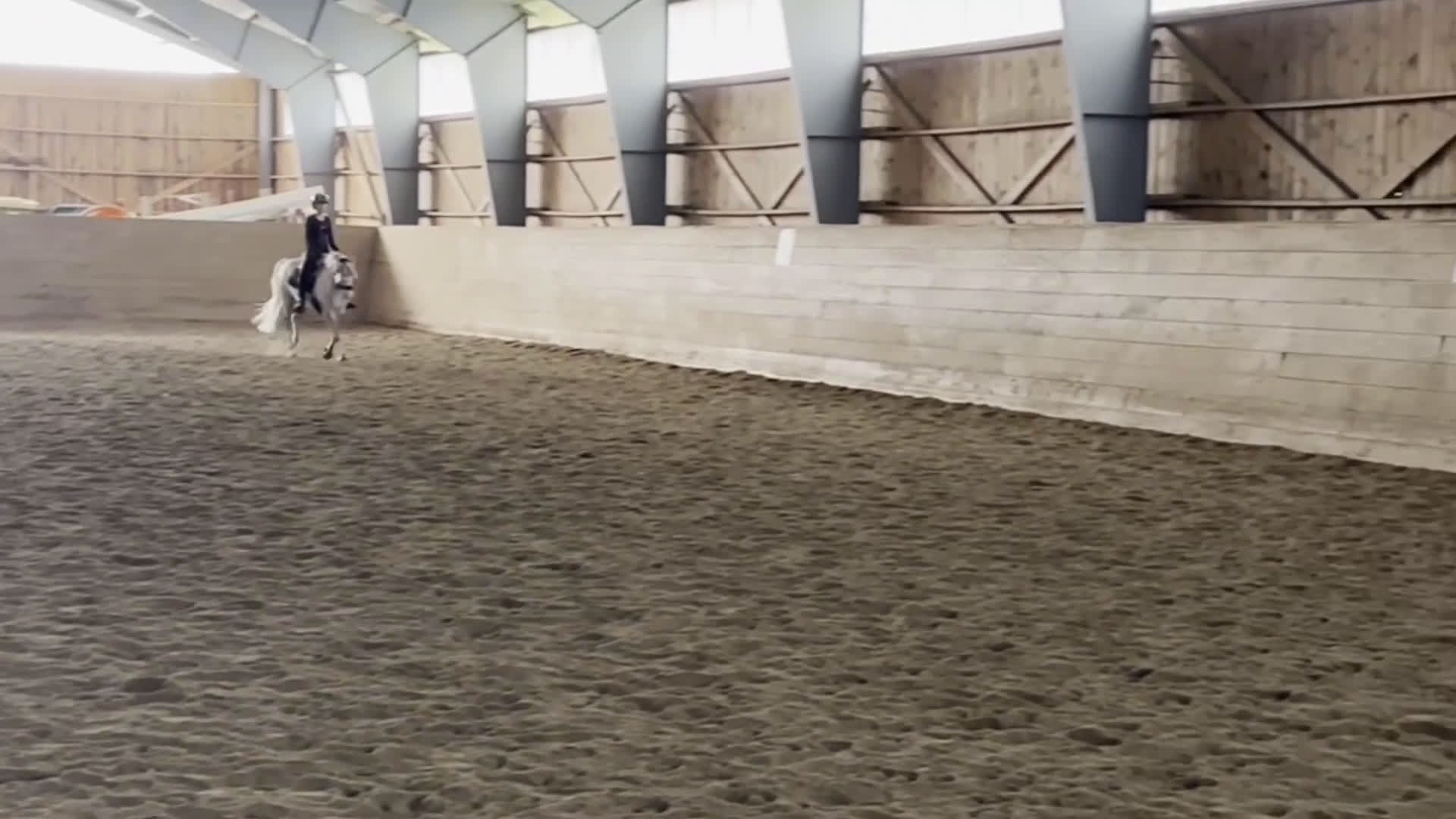 Dressyr hästar till salu: Unikt tillfälle då stallet är fullt i Ösmo - Video 1