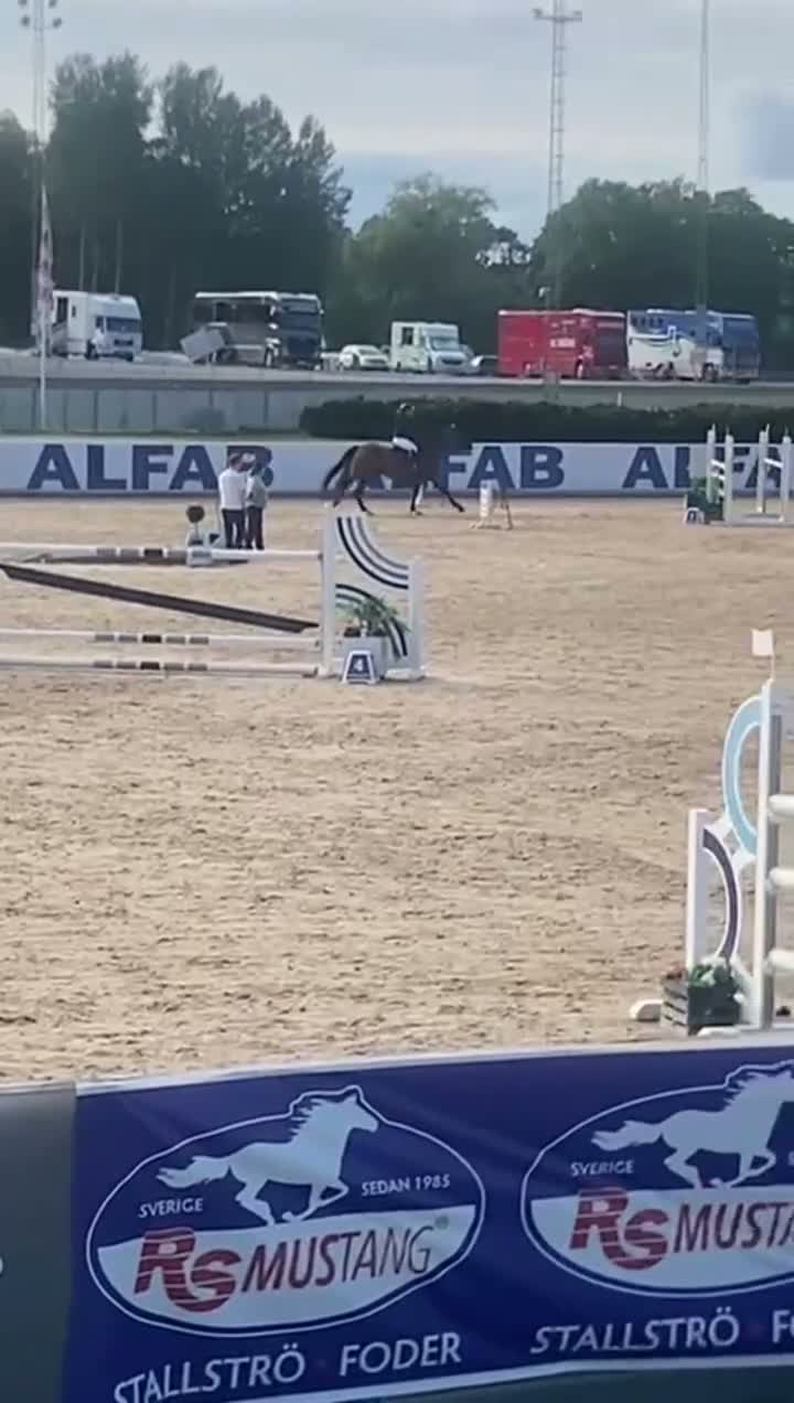 Hoppning hästar till salu: Lyxig läromästare till salu - Video 2