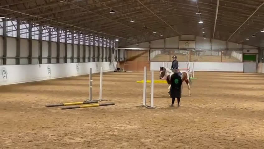  medryttarhäst sökes: SÖKER MEDRYTTARHÄST  i Uppsala - Video 1