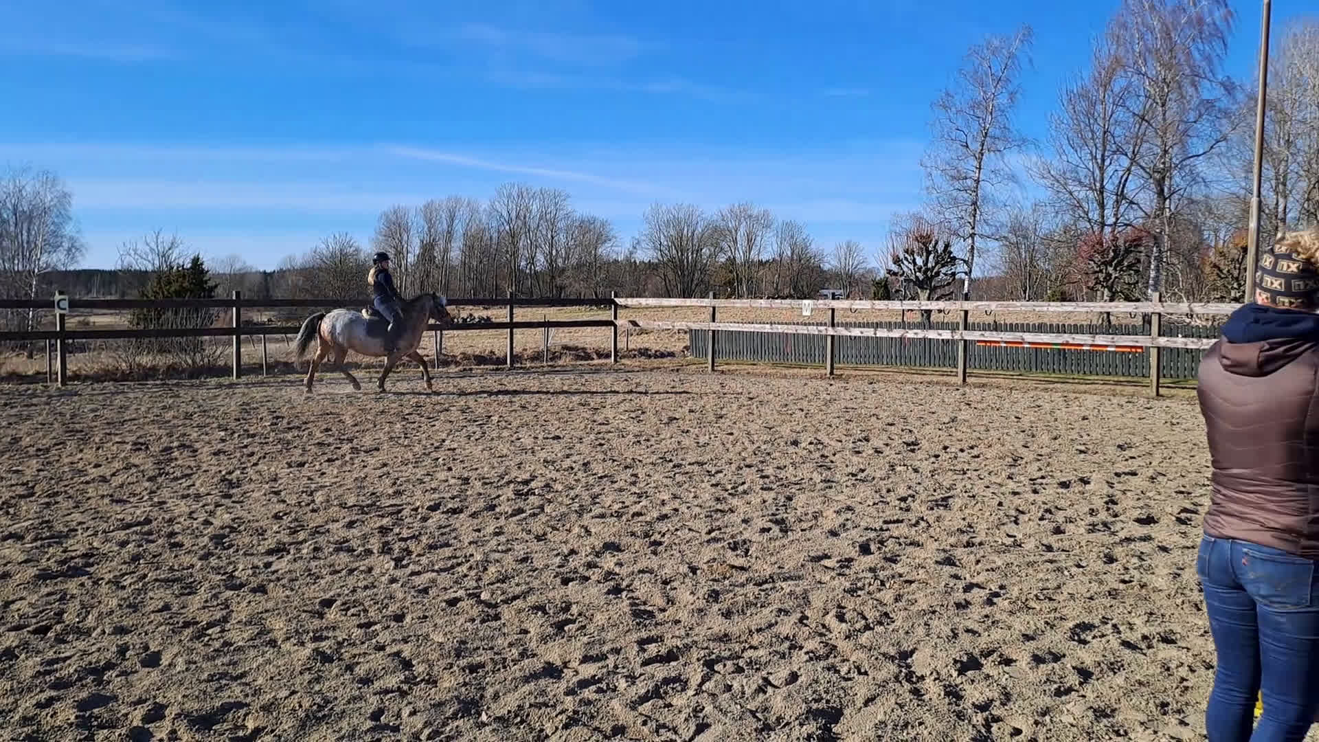 Allround hästar till salu: Tuff ridponny valack - Video 3