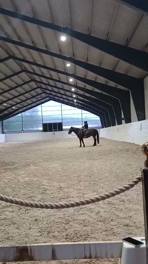 Allround hästar till salu: RIDSKOLA / VERKSAMHET 💞 Unik ponny!! - Video 2