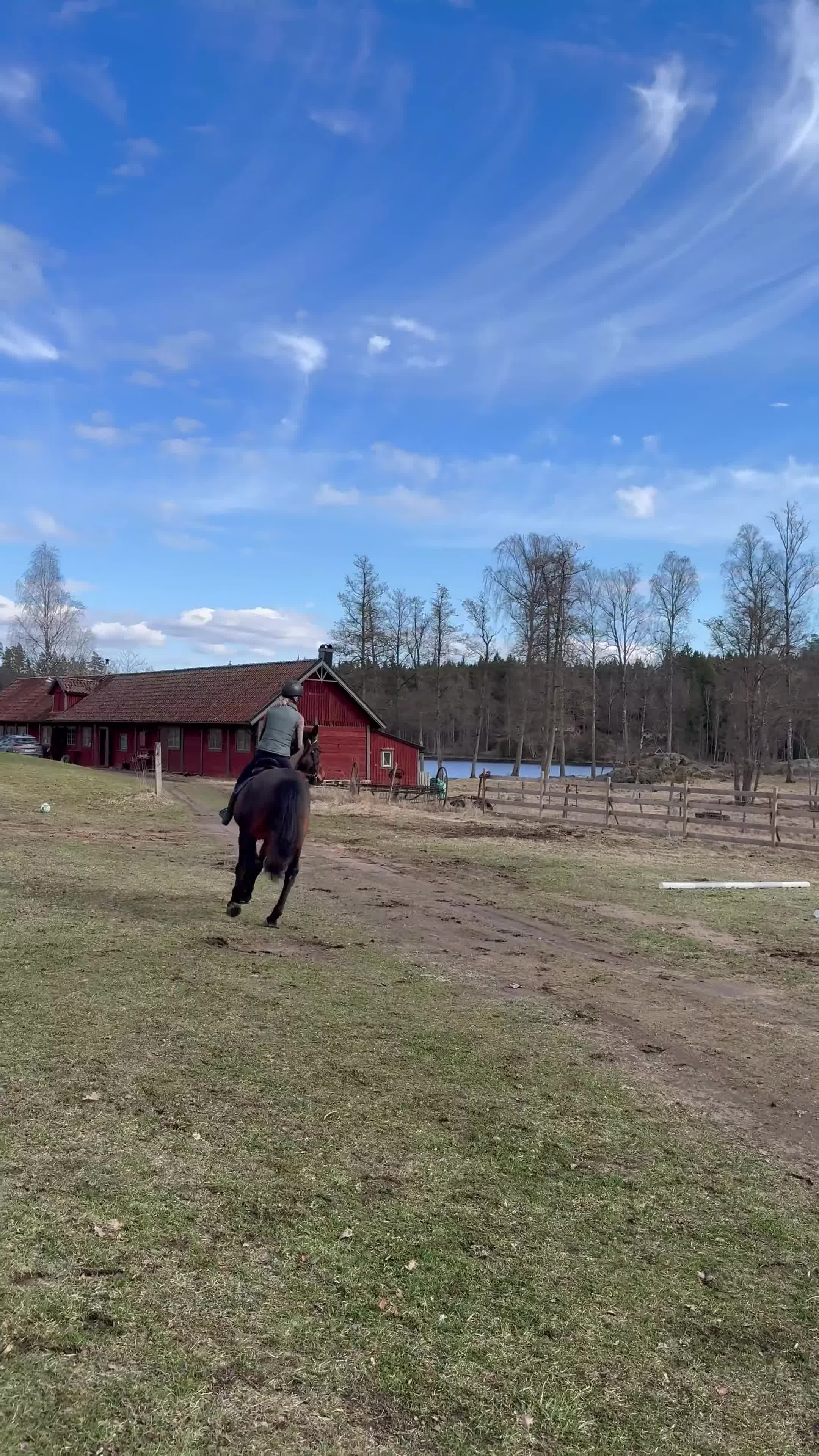 Allround hästar sökes: Söker en ny bästa kompis!⭐️ - Video 1