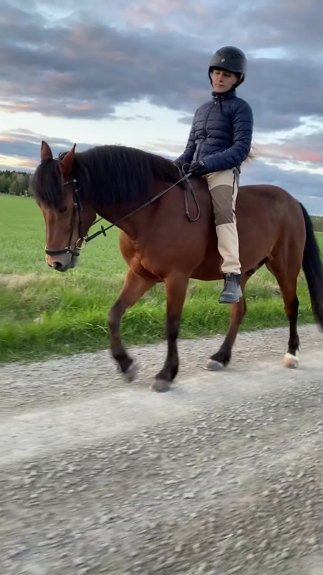 Allround hästar till salu: Skogsmulle och kompis i Ervalla - Video 1
