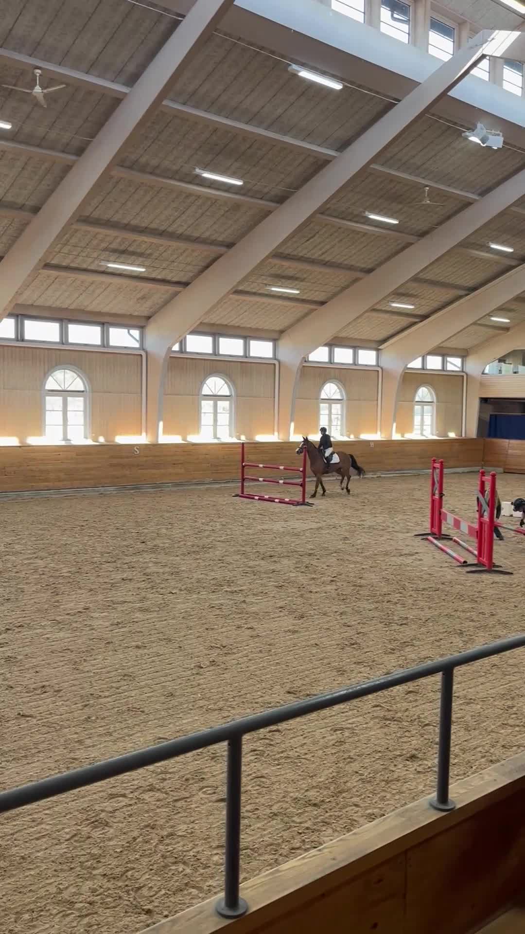 Hoppning hästar till salu: 6årigt sto med stort hopp! - Video 1