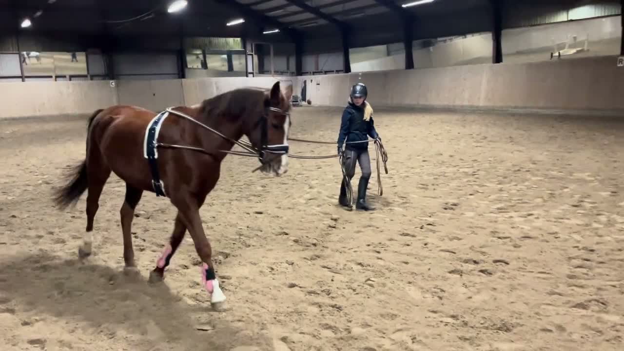 Allround hästar till salu: Älskad C-ponny söker nytt hem ❤️  i Kalmar - Video 5