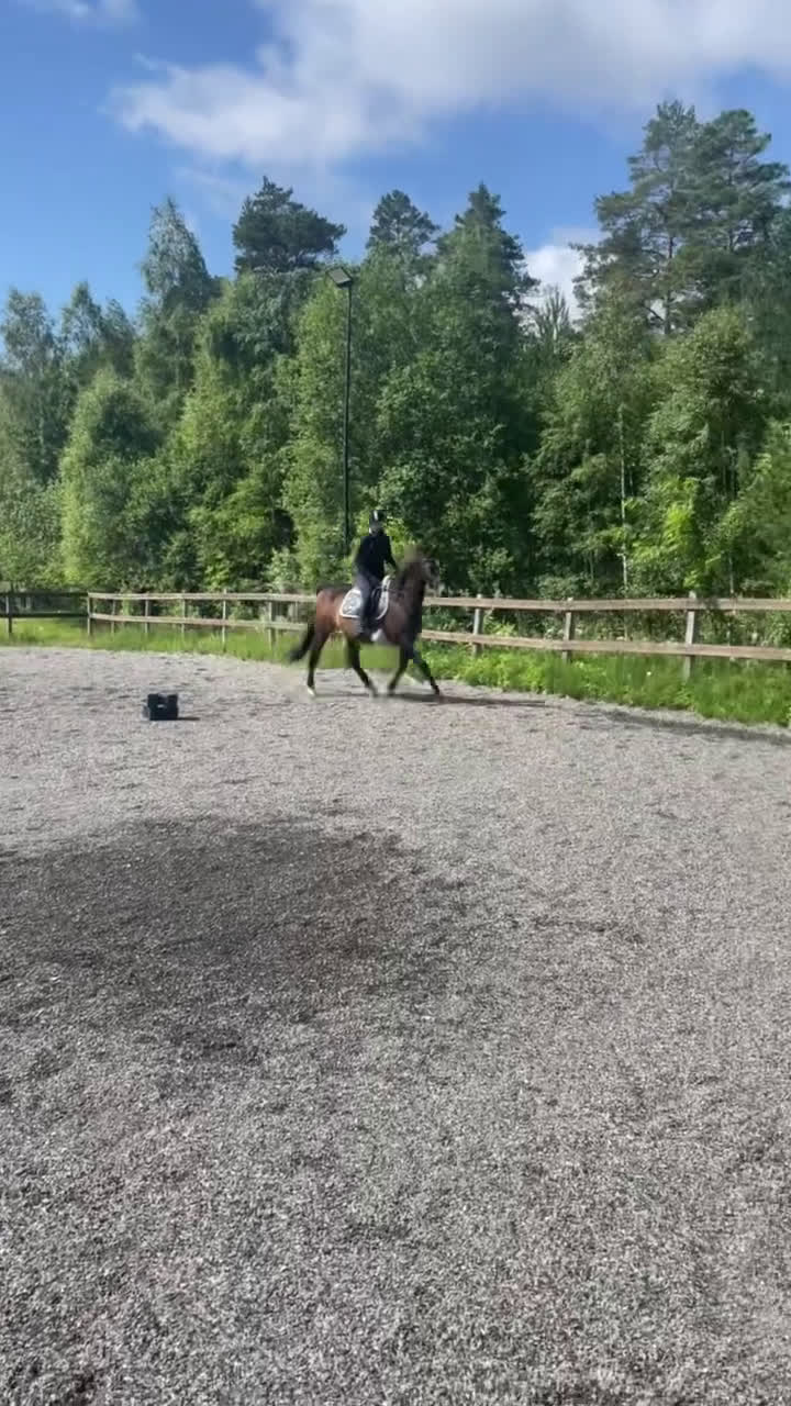  medryttarhäst finnes: Medryttare till sto i Bankeryd - Video 1