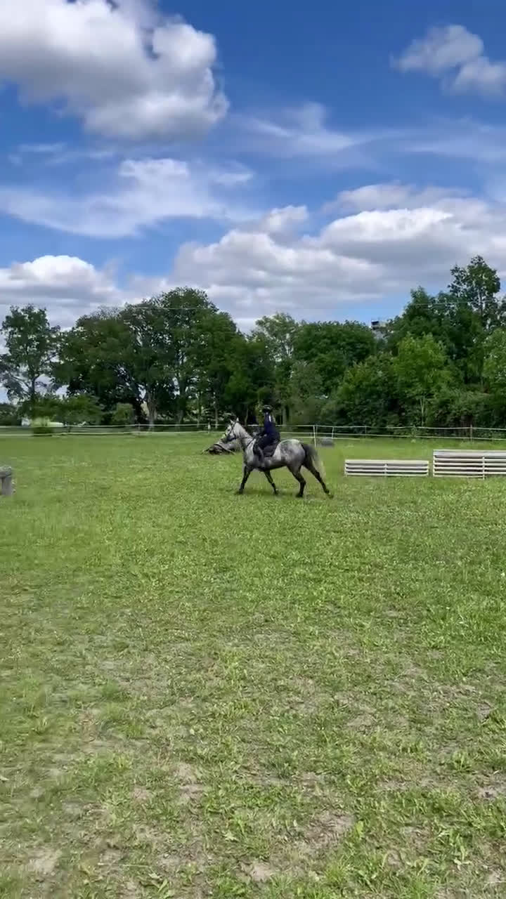 Hoppning hästar till salu: Sto -18 e. Kannatol inkörd multitalang  i Skärplinge - Video 1