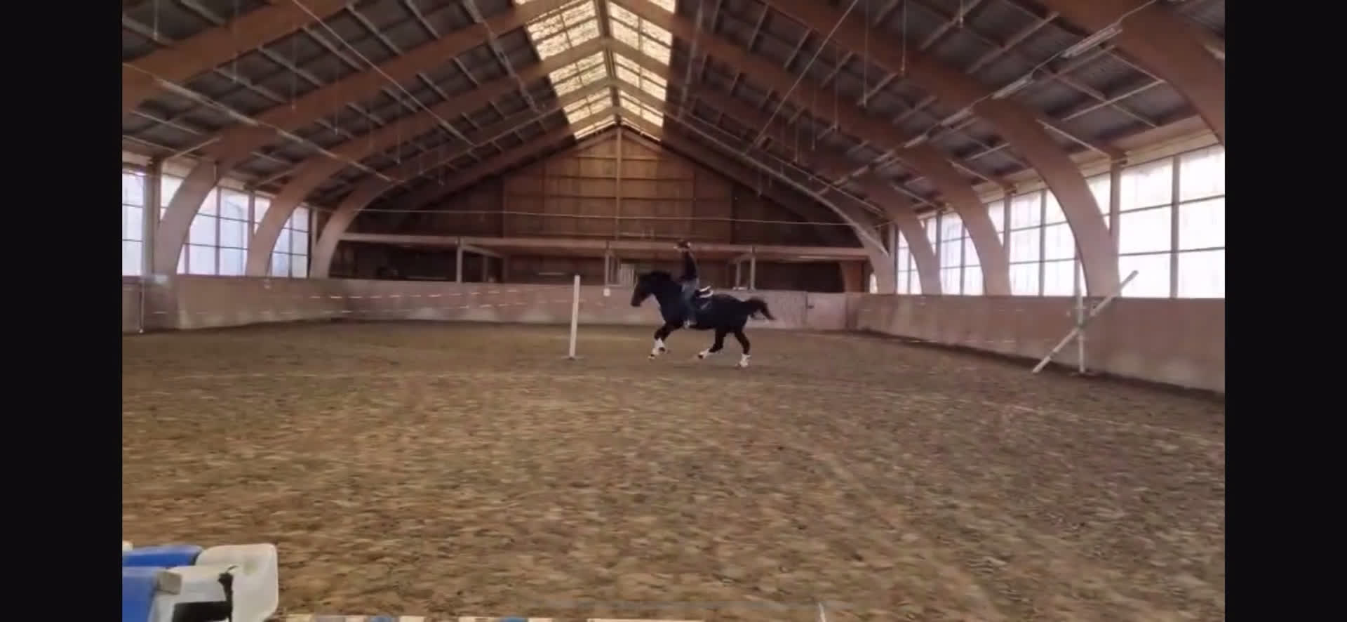 Dressyr hästar till salu: Sto e. Total hope! i Smygehamn - Video 5