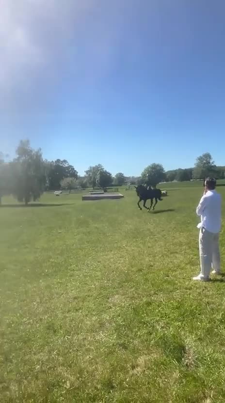 Allround hästar till salu: Lyxig hobbyhäst- bästa träningskompisen - Video 4