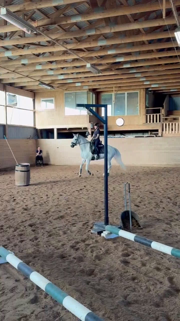 Allround hästar till salu: Läromästare och bästa vän! i Linköping - Video 3