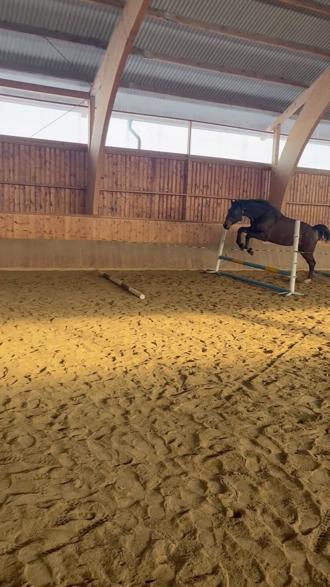 Allround hästar till salu: 6-årig SWB- valack  i Västerfärnebo - Video 1