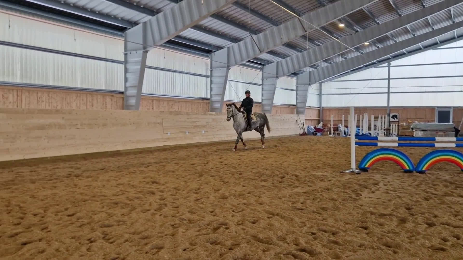 Allround hästar till salu: Hoppstammat halvblod med fantastisk galopp - Video 1