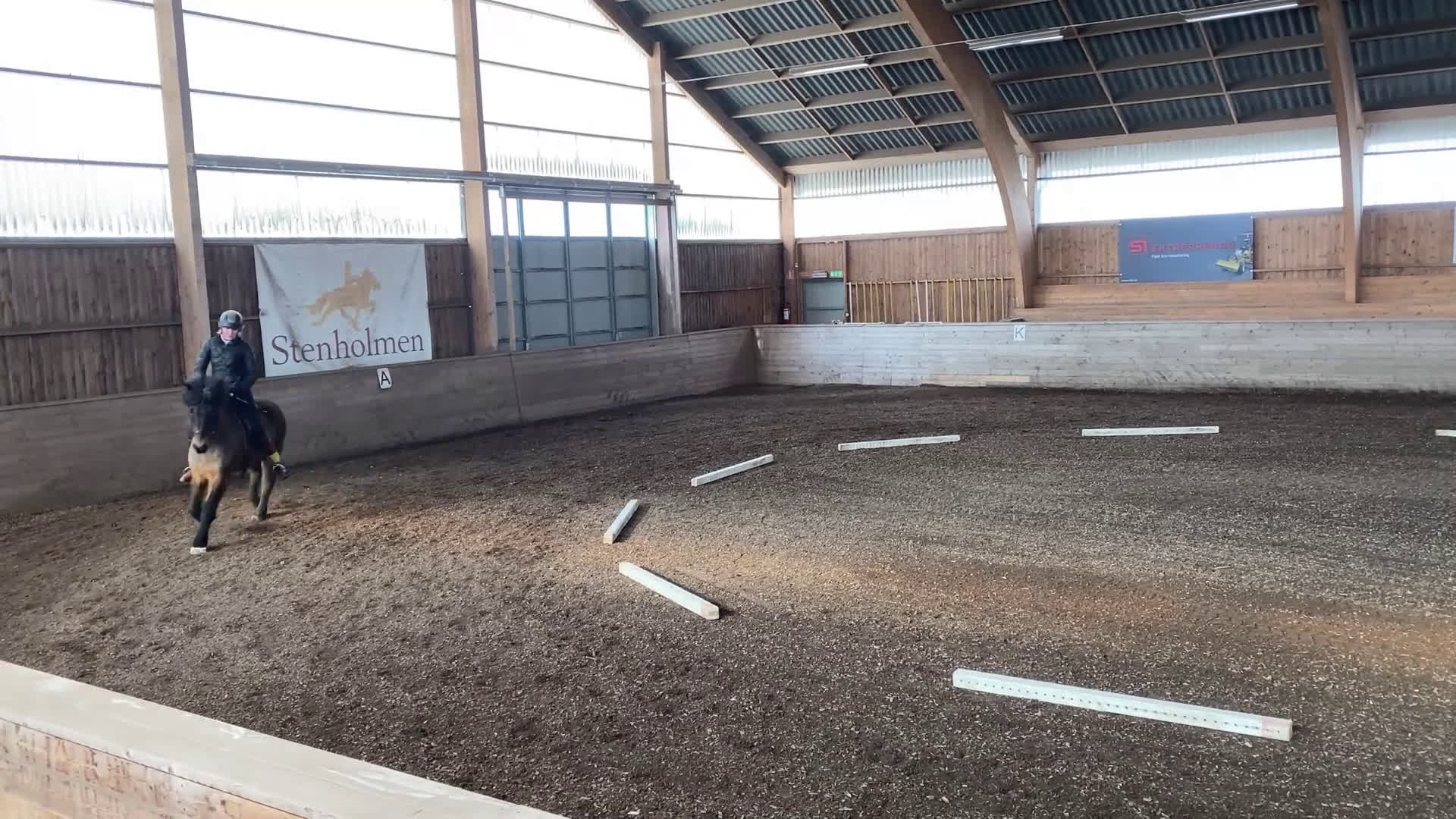 Island hästar till salu: Projekthäst - Video 1