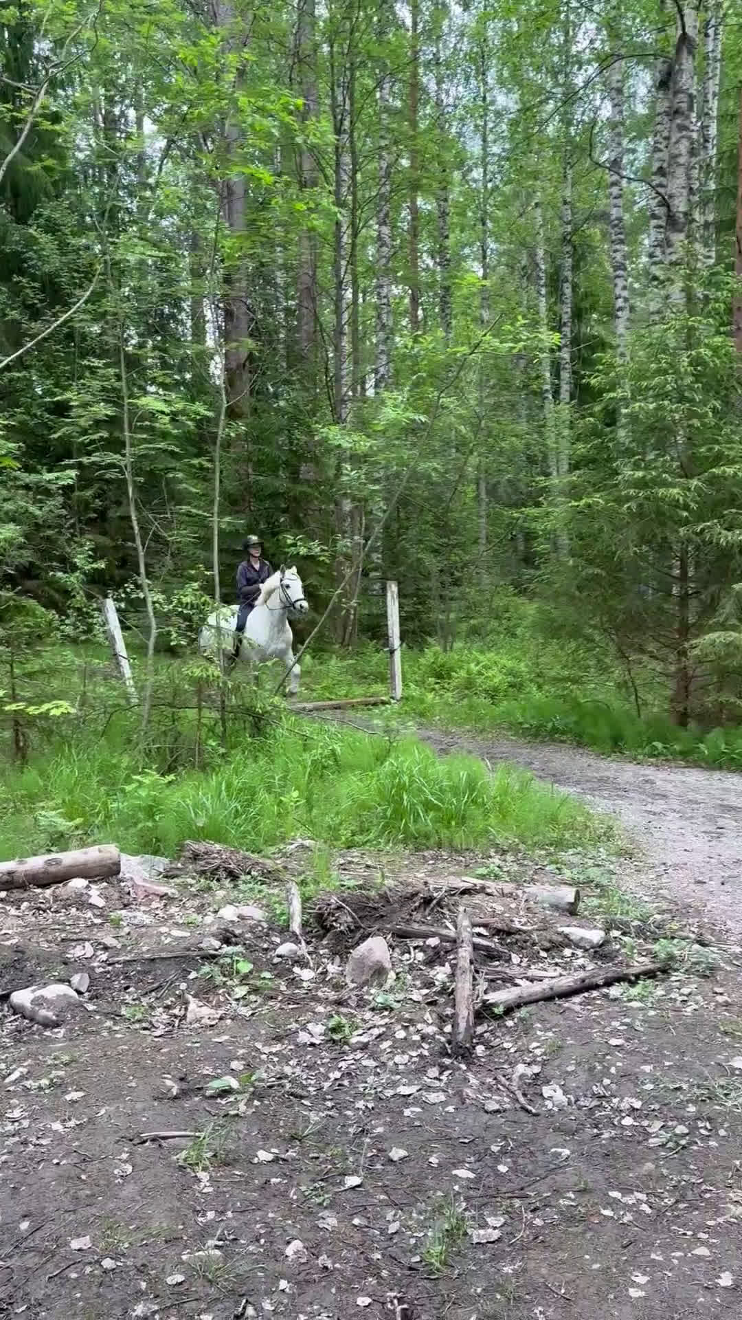 Allround hästar till salu: En bästa kompis med glimten i ögat  i Gävle - Video 1