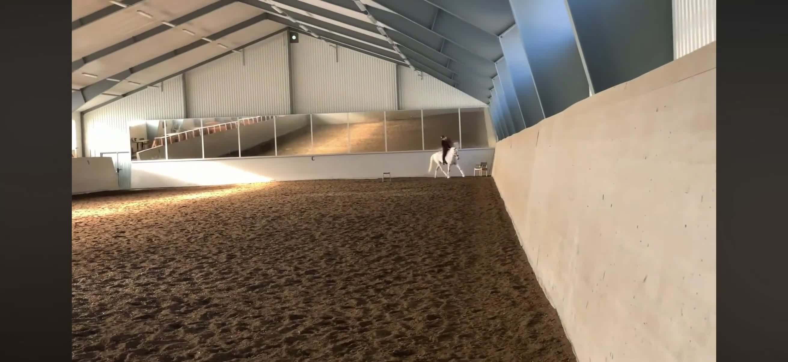 Dressyr hästar till salu: Drömponny  - Video 1