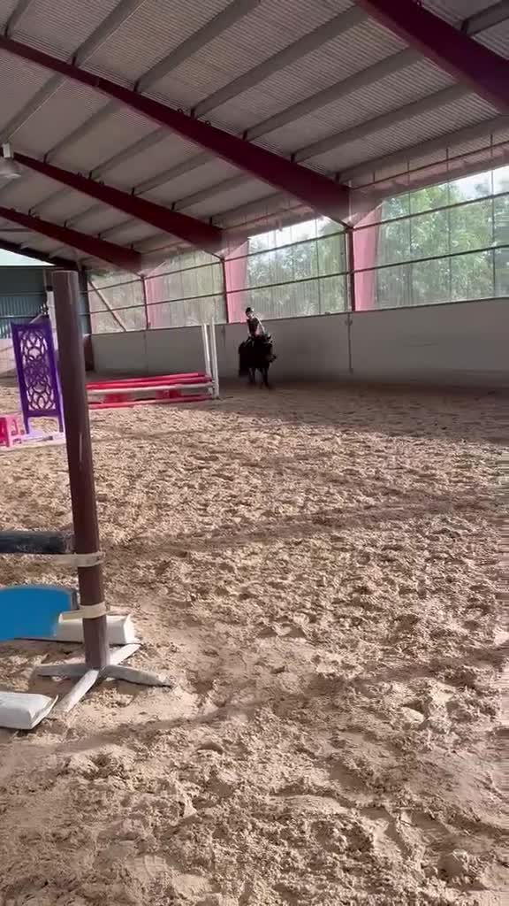 Allround hästar till salu: Trygg B-ponny - perfekt första ponny 🐴 - Video 1