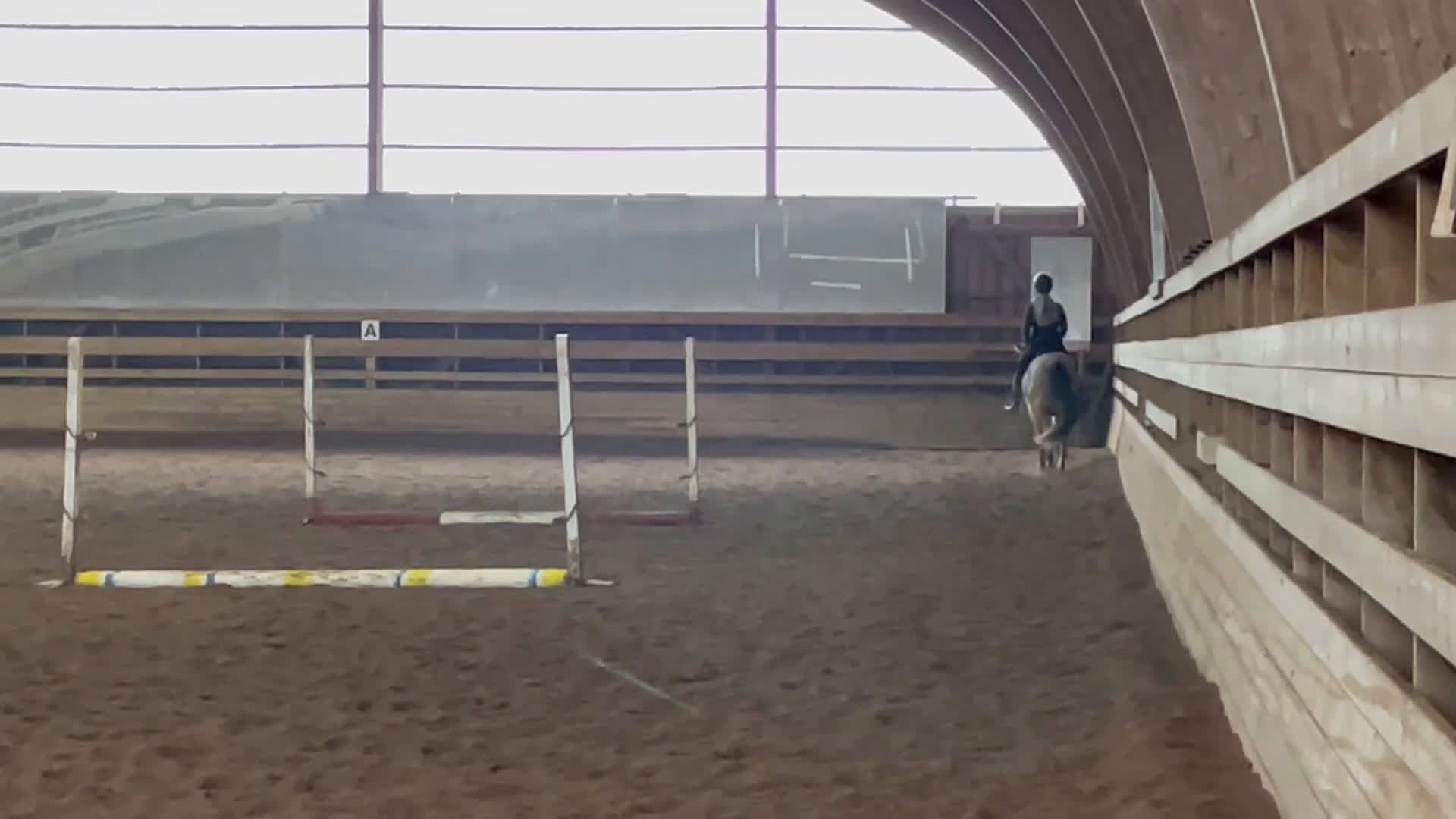 Allround hästar till salu: Multitalang med potential  i Nybro - Video 4