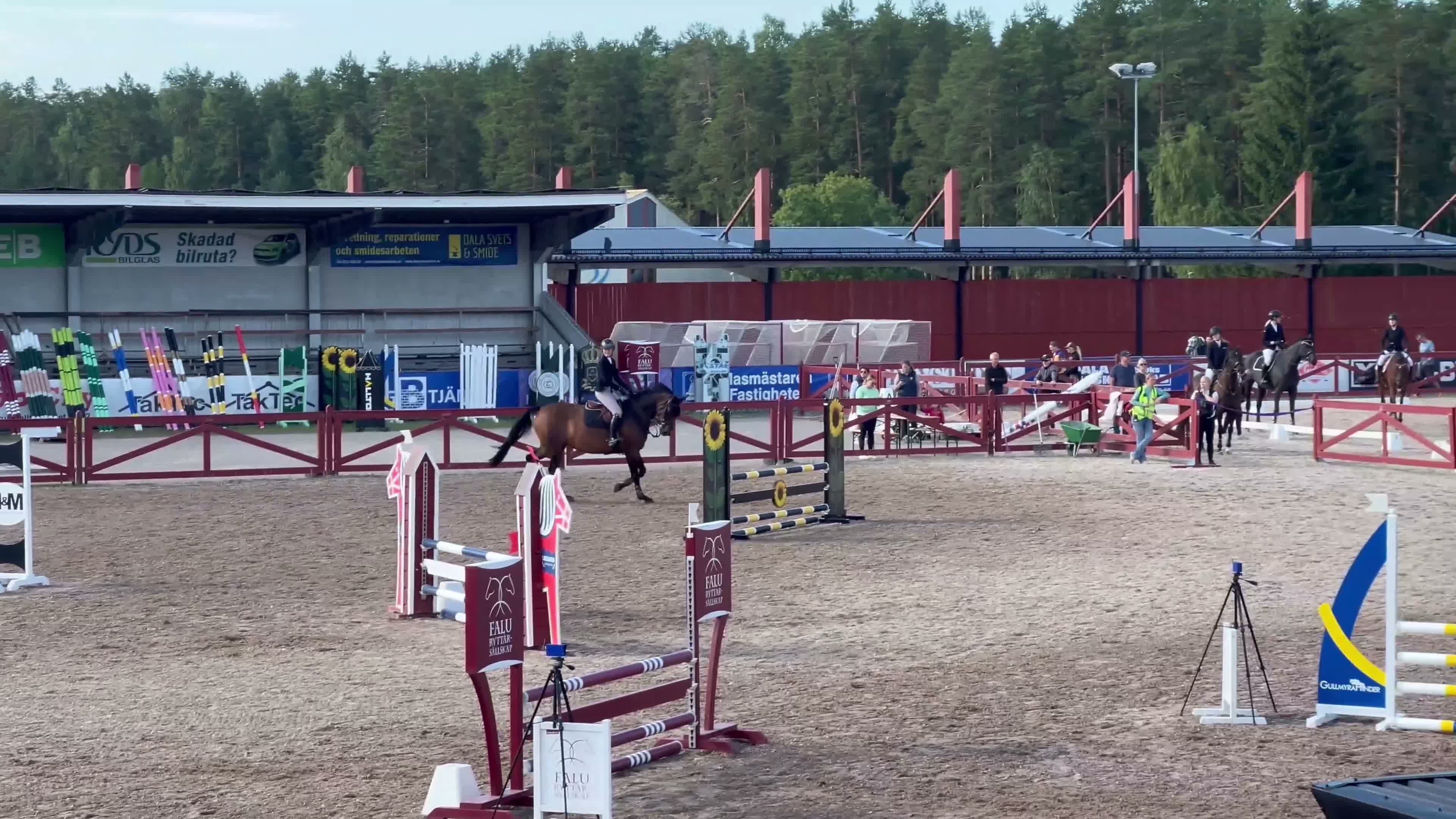 Hoppning hästar till salu: Fint SWB-sto - Video 1