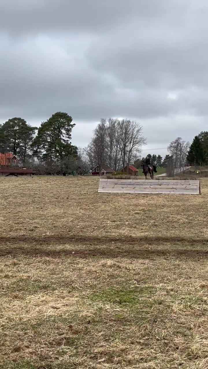 Fälttävlan hästar till salu: Trevlig fälttävlansponny⭐️ i Västervik - Video 2