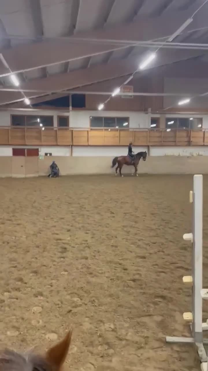 Hoppning hästar till salu: Stor hoppvalack i Kungsängen - Video 4