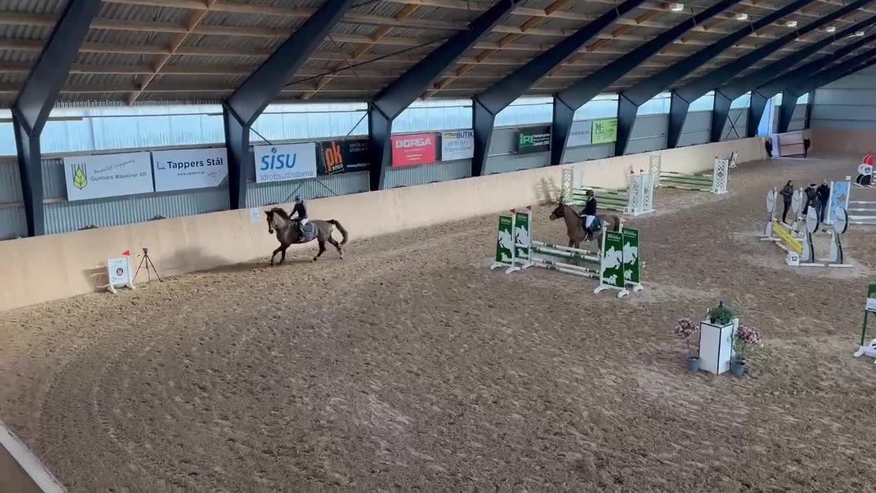Allround hästar till salu: Pålitlig bästa vän  i Månsarp - Video 1
