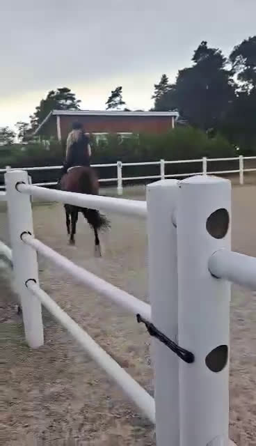 Allround hästar till salu: Nu vill vi hitta rätt hem till denna tjej i Kvibille - Video 2