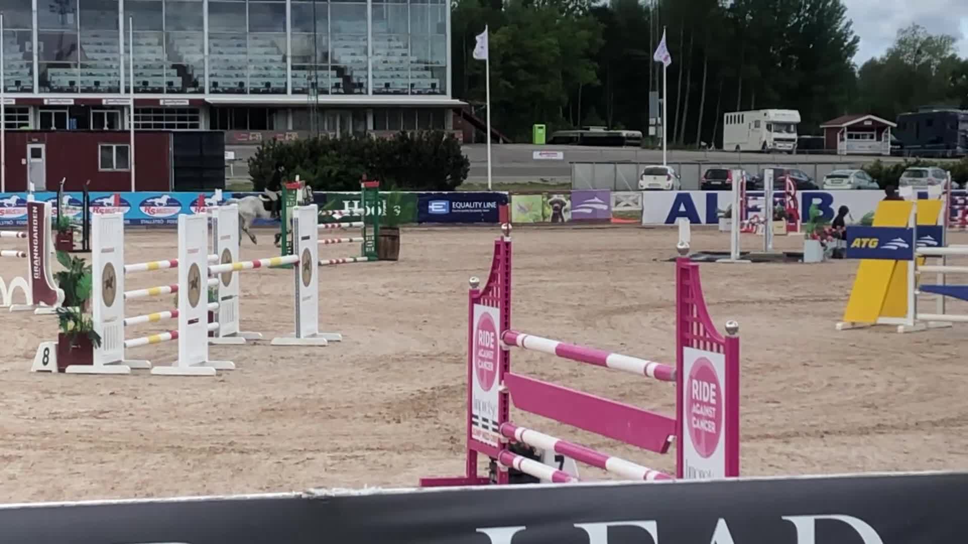 Hoppning hästar till salu: Hoppglad C ponny - Video 2