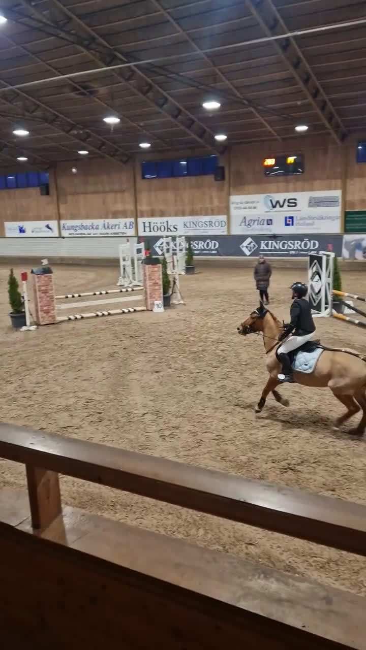 Allround hästar till salu: Fin och pålitlig allroundponny – läromästare i Kungälv - Video 1