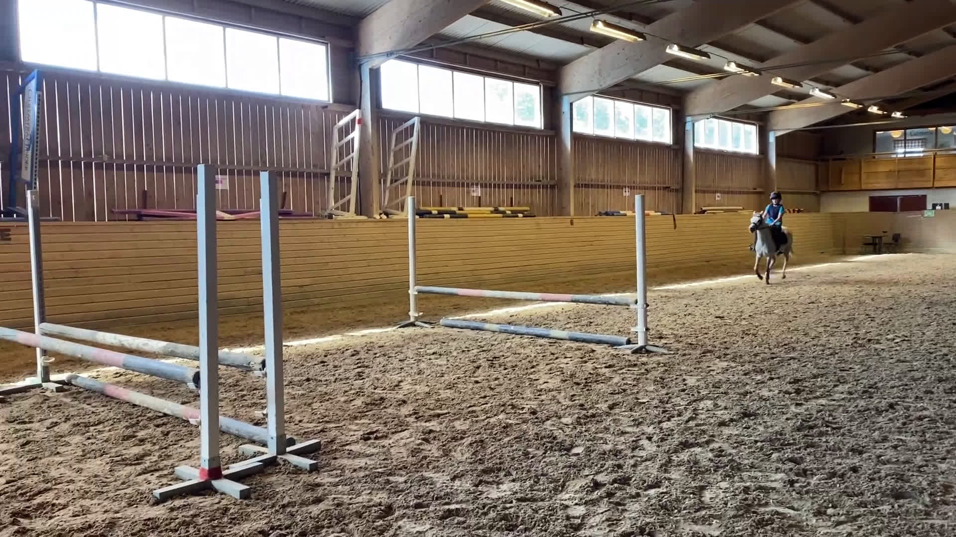 Galopp hästar till salu: Superfin hopponny som är starta i galopp  i Grillby - Video 2
